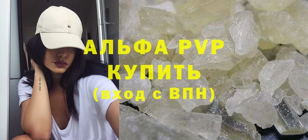 индика Переславль-Залесский