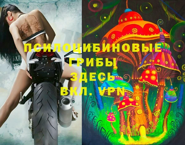 индика Пересвет