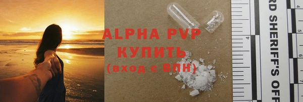 индика Переславль-Залесский