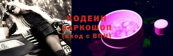 индика Переславль-Залесский