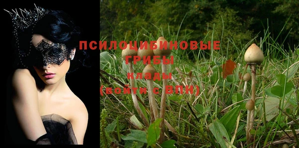 соль курить ск Пестово