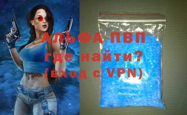 индика Переславль-Залесский