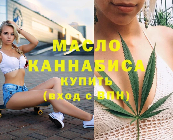 индика Переславль-Залесский