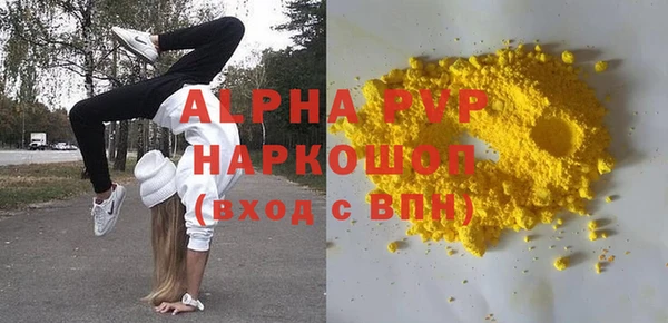 индика Переславль-Залесский