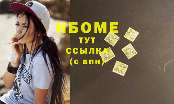 индика Пересвет