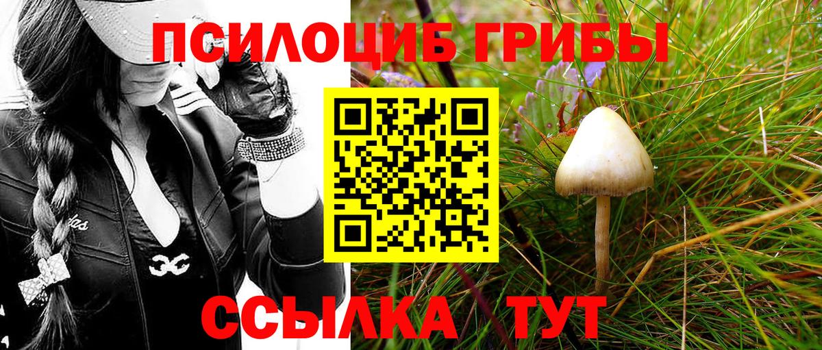 Псилоцибиновые грибы GOLDEN TEACHER  Галлюциногенные грибы ЛСД  Богородицк  Вход с VPN 