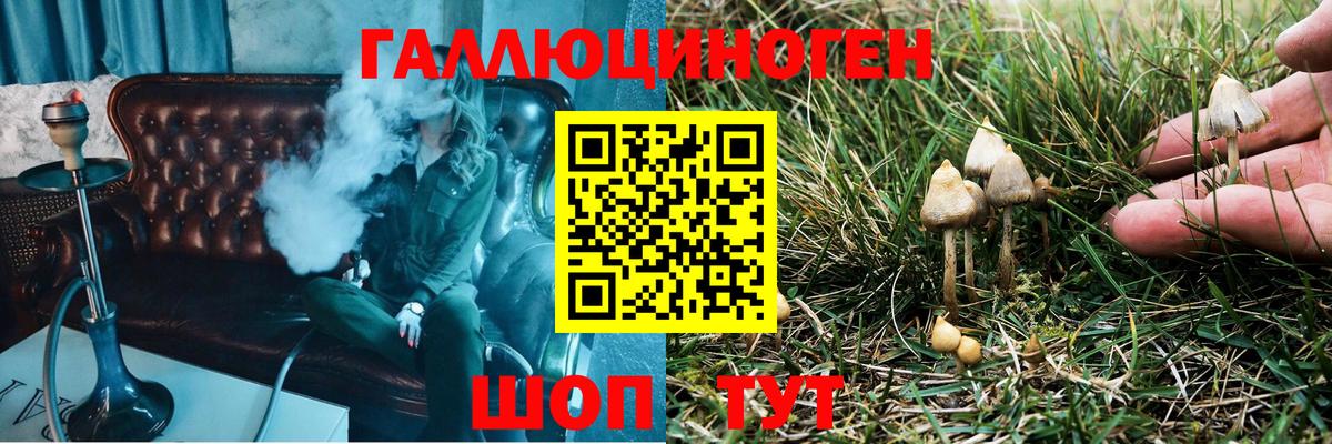 Псилоцибиновые грибы GOLDEN TEACHER Богородицк