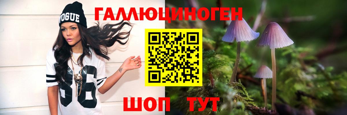 НБОМе  Богородицк  МАРИХУАНА  Кокаин  Меф МЯУ МЯУ кристаллы  Вейп ТГК  ГАШ  APVP СК кристаллы  Вход с VPN 