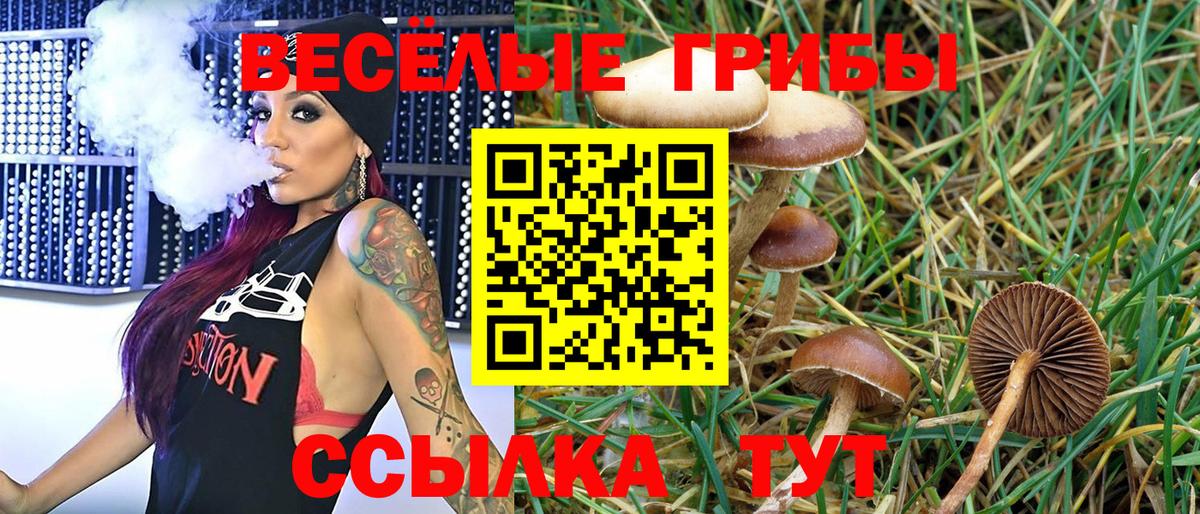 Галлюциногенные грибы MAGIC MUSHROOMS Богородицк